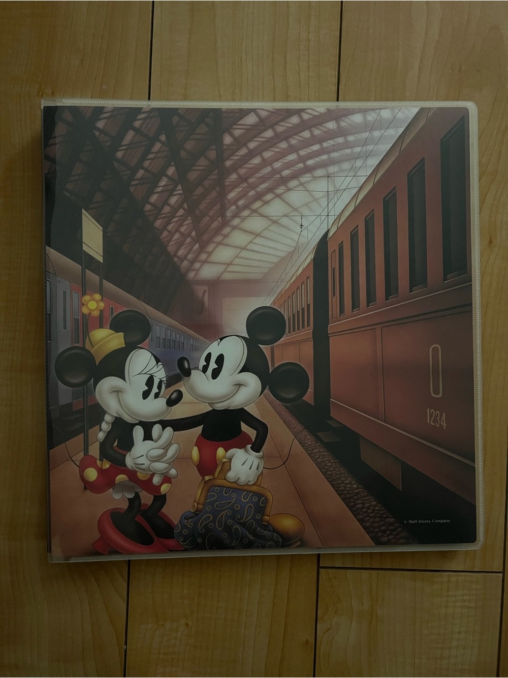Extremely rare Brand new Tokyo Disneyland Fujicolor photo album Large